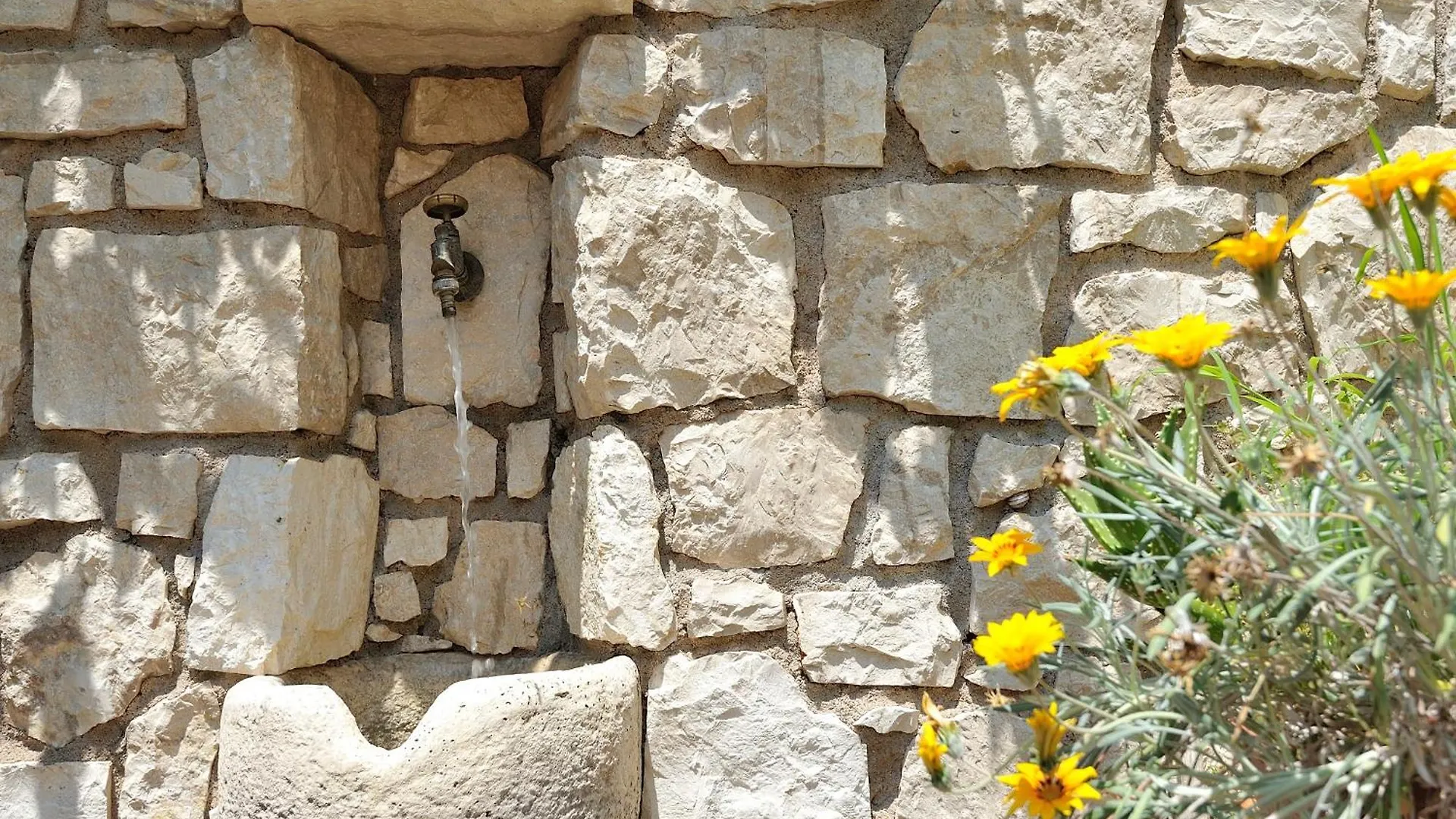 Villa Janas بوناي