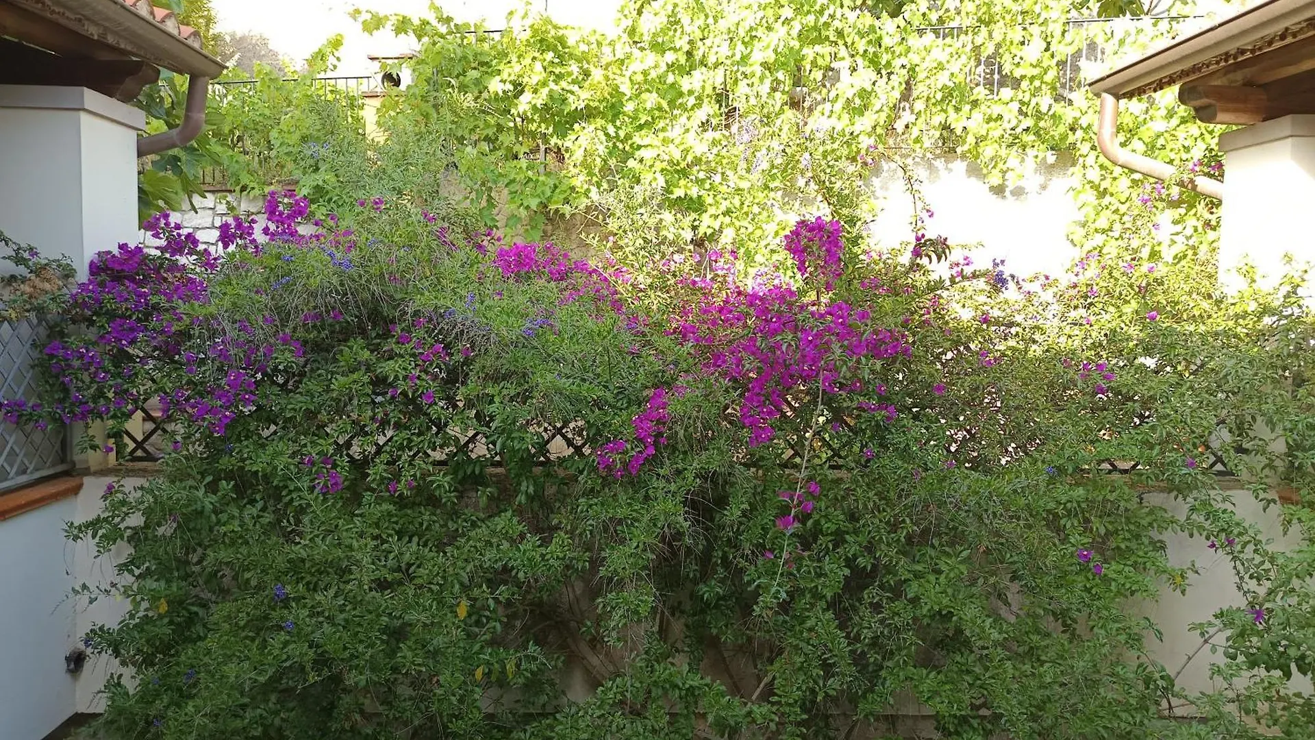 شقة Villa Janas بوناي إيطاليا